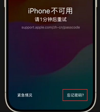 金平苹果手机密码维修分享iPhone忘记了刚设置的密码 