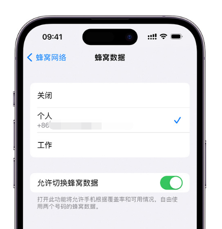 金平苹果维修服务分享如何在iPhone上使用双卡 