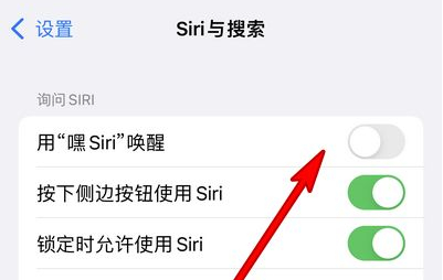 金平苹果13维修分享iPhone 13怎么唤醒 Siri  